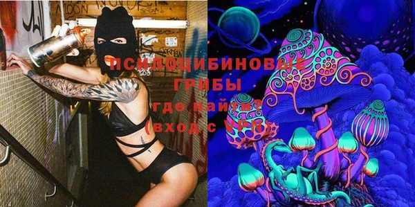 прущая мука Алзамай