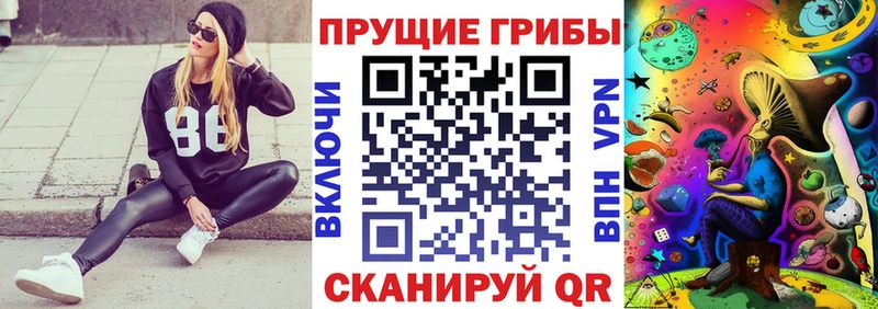 дарнет шоп  Анжеро-Судженск  mega как зайти  Галлюциногенные грибы ЛСД 