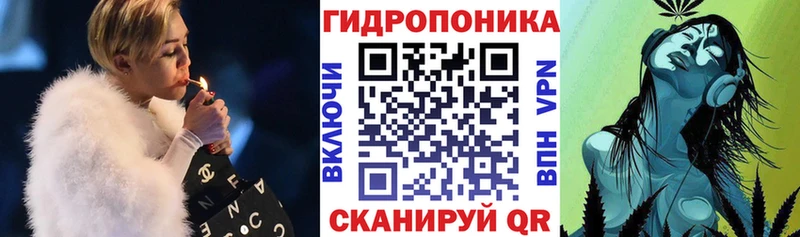 наркота  Анжеро-Судженск  darknet клад  Бошки Шишки индика 